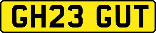 GH23GUT