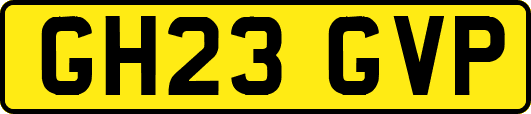 GH23GVP