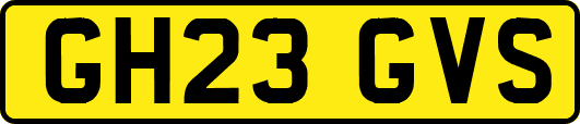 GH23GVS