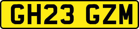 GH23GZM