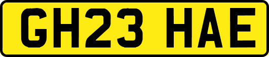 GH23HAE