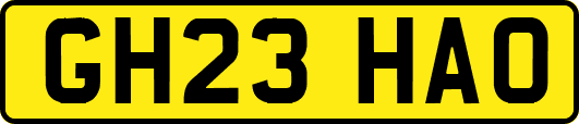GH23HAO