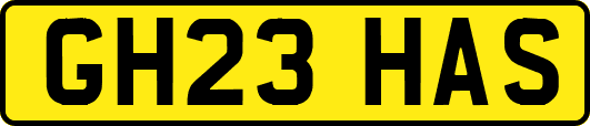 GH23HAS