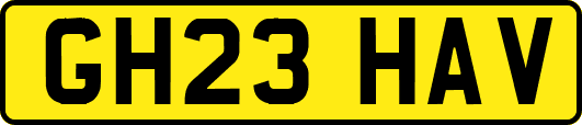 GH23HAV