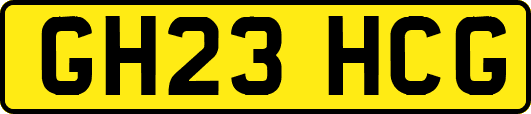 GH23HCG