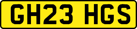 GH23HGS