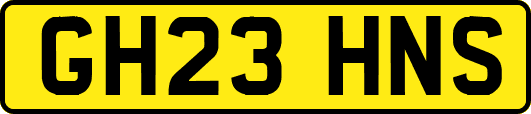 GH23HNS