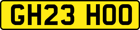 GH23HOO