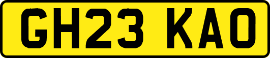 GH23KAO