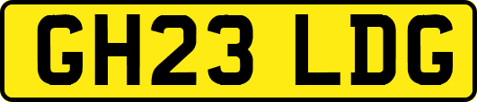 GH23LDG