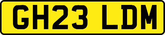 GH23LDM