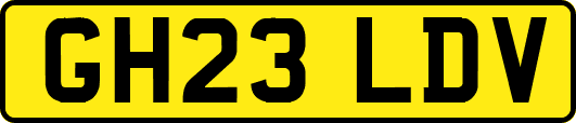 GH23LDV