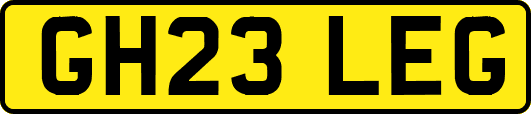 GH23LEG