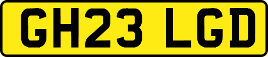 GH23LGD