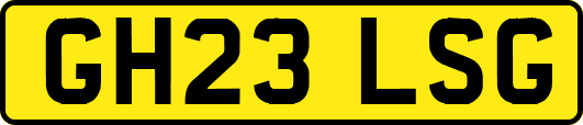 GH23LSG