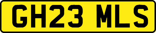 GH23MLS