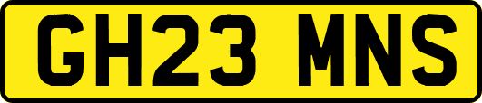 GH23MNS