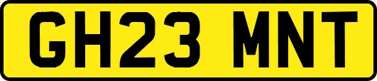 GH23MNT