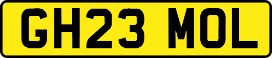 GH23MOL