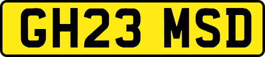 GH23MSD