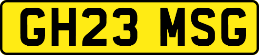 GH23MSG
