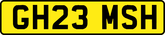 GH23MSH