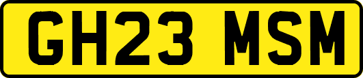 GH23MSM
