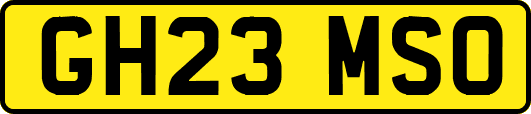 GH23MSO