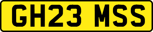 GH23MSS