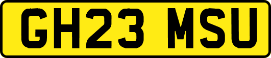 GH23MSU