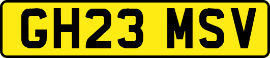 GH23MSV