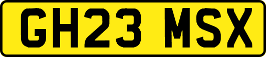 GH23MSX