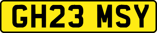 GH23MSY