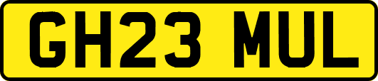 GH23MUL