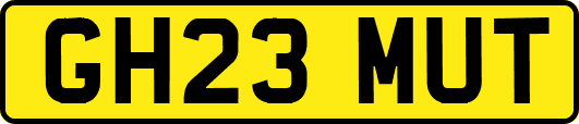 GH23MUT