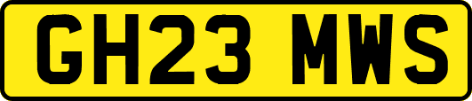 GH23MWS