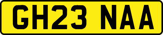 GH23NAA