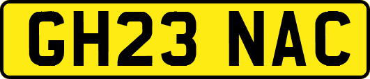 GH23NAC