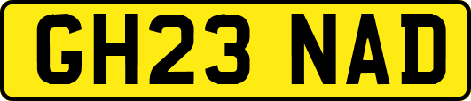 GH23NAD