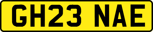 GH23NAE