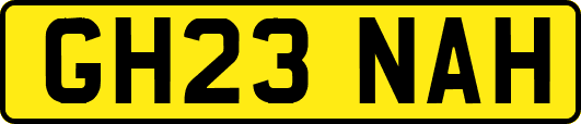GH23NAH