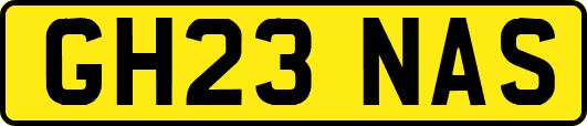 GH23NAS