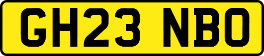 GH23NBO