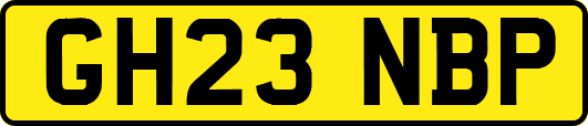 GH23NBP
