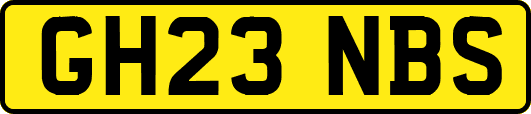 GH23NBS