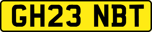GH23NBT