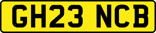GH23NCB