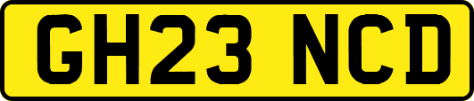 GH23NCD