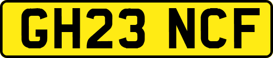 GH23NCF