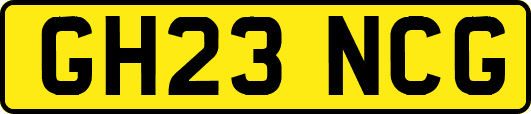 GH23NCG